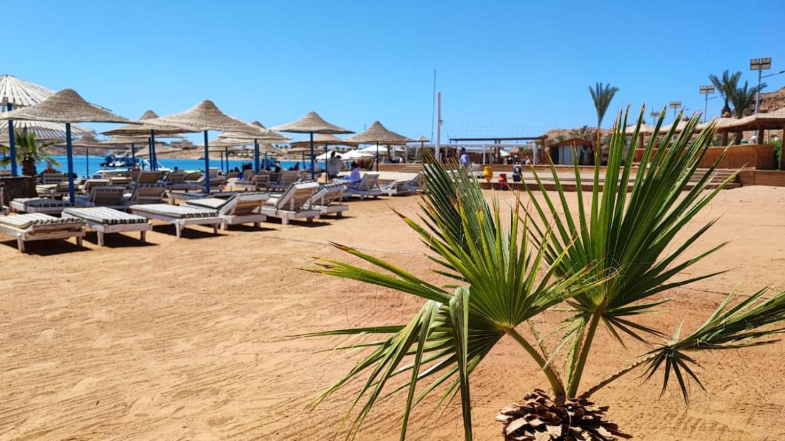 Turquoise Beach Hotel Sharm El-Sheikh Exterior foto